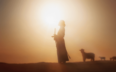 She Yelled and Called Me Names