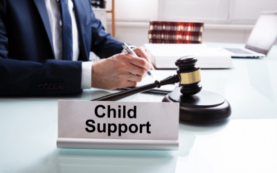 MOTHERS UNDER SIEGE: TACTICS OF THE FATHERS’ RIGHTS MOVEMENT- HOW CAN A “GOOD ENOUGH MOTHER” PROTECT HERSELF?