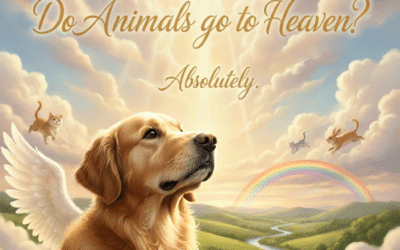 Do animals go to heaven?